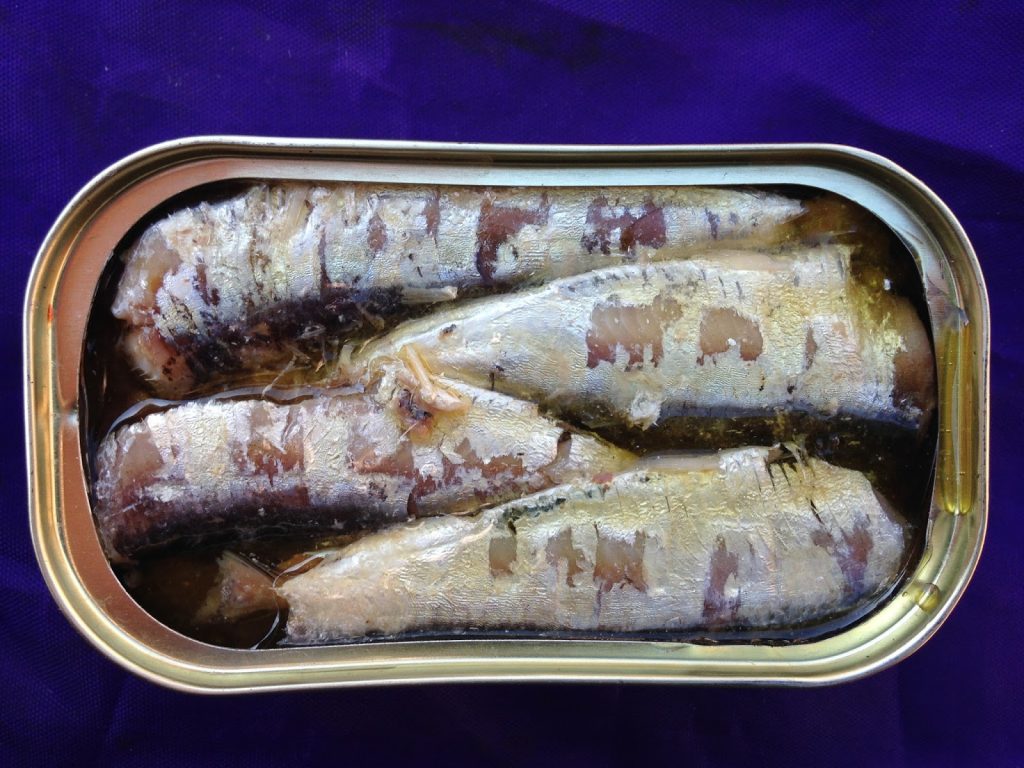 Ventidue scatole di sardine