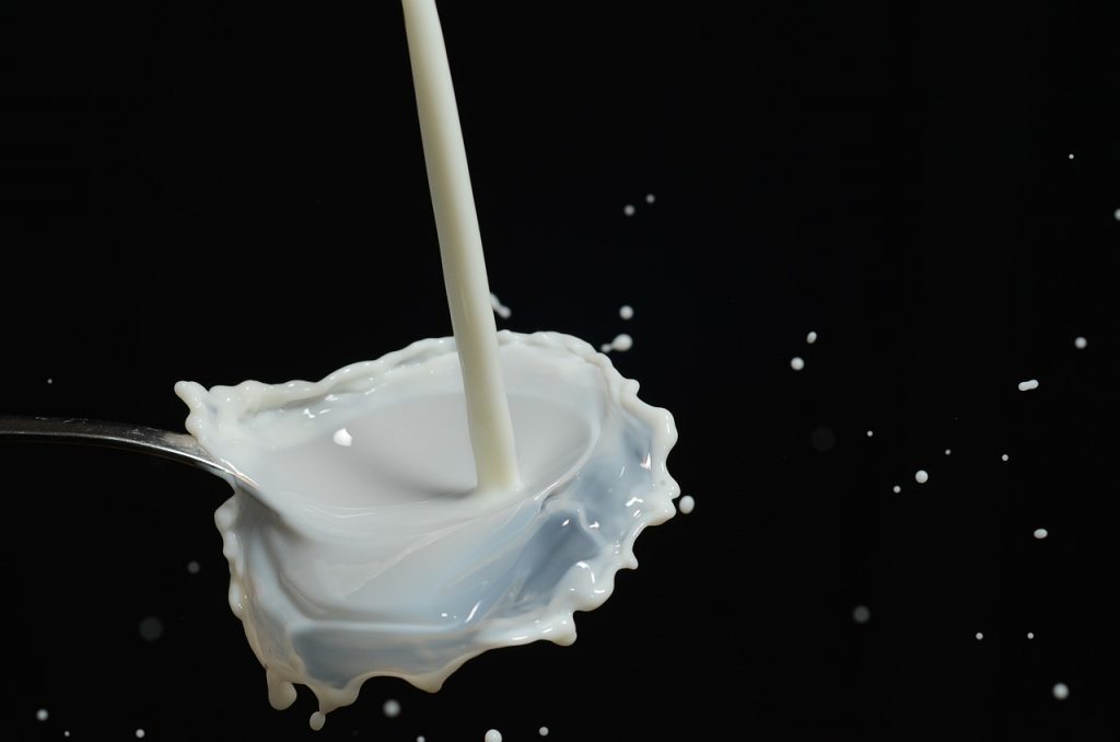 produzione latte biologico