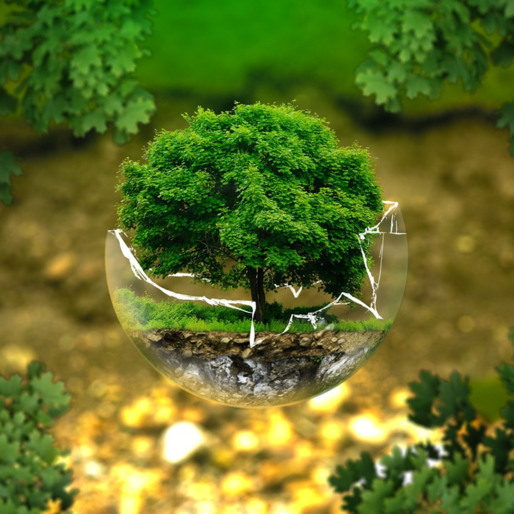5 Giugno, Giornata Mondiale dell'ambiente - FederBio: biologico fondamentale per il benessere Ambientale